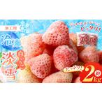 いちご 冷凍 白 淡雪 約 2kg