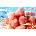 いちご 冷凍 白 淡雪 約 3kg