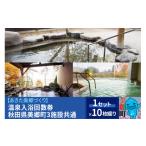 温泉 サウナ スパ利用券 温泉入浴回数券 10枚綴り×1セット