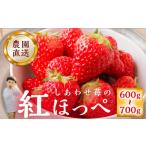 ふるさと納税 いちご 岐阜県 本巣市 2026年1月以降発送 自宅用 いちご 紅ほっぺ 600-700g しあわせ苺 サイズ バラバラ のため 訳あり 訳アリ 農園直送 こだわ…
