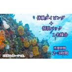 体験チケット ダイビング 宿泊 体験 ビーチ