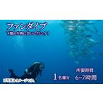 体験チケット ファン ダイブ 2ダイブ 1名様分