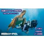 体験チケット 体験 ダイビング アクティビティ