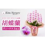 ふるさと納税 花・苗木 栃木県 宇都宮市 胡蝶蘭 オリジナル品種「ヴィーナス…