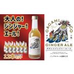 ガガニコジンジャーエール 12本セット 250ml×12本
