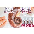 タコ 瀬戸内地だこの一本足