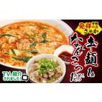 麺類 辛麺1食 なんこつ1食セット お試しセット