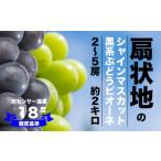 ショッピングふるさと納税 シャインマスカット ふるさと納税 ぶどう 巨峰 山梨県 笛吹市 2026年発送 糖度検査済 シャインマスカットとピオーネの詰合せ 約2kg 肥沃な大地と沢山の日光で育った扇状地のブドウ…