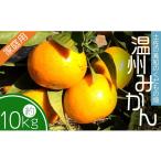 ふるさと納税 果物類 みかん 高知県 香南市 訳あり みかん 10kg (5kg×2) 先行受付 家庭用 土佐の高知のくだもの畑 - 温州みかん ミカン 訳アリ わけあり 蜜柑…