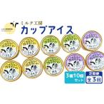 菓子 アイス 定期便:全3回 ニセコ高橋牧場ミルク工房