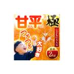 ふるさと納税 みかん・柑橘類 愛媛県 八幡浜市 甘みぎっっしり シャキシャキ甘い 甘平 2kg C49-63 1509766