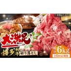 牛肉 サーロイン 6回定期便 博多和牛 1kg