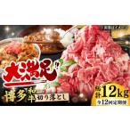 牛肉 炒め物 12回定期便 博多和牛 切り落とし 1000g