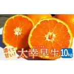 果物類 みかん 2026年11月~発送 10件