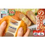 惣菜 レトルト 冷凍 3ヶ月定期便 とろ~り