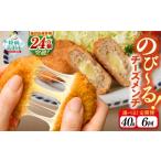 惣菜 レトルト 冷凍 6ヶ月定期便 とろ~り