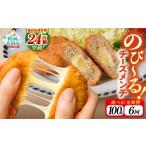 惣菜 レトルト 冷凍 6ヶ月定期便 とろ~り