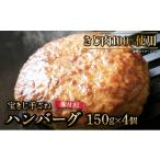 肉 ハンバーグ 思いやり型返礼品 宝きじの手ごねはんばーぐ…