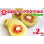 ふるさと納税 果物類 愛媛県 宇和島市 訳あり キウイ 紅妃 レッドキウイ 2kg 先行予約 Shirai.agrifarm わけあり サイズ 不揃い キウイフルーツ 甘い 高級 希…