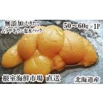 fu.... налог морской еж Hokkaido корень . город G-28001 корень . морепродукты рынок прямая поставка без добавок .. длина фиолетовый морской еж соль вода упаковка 50~60g×1P 5 месяц последняя декада после отправка 