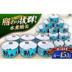 缶詰 瓶詰 魚貝類 若狭の鯖水煮缶詰 45缶セット