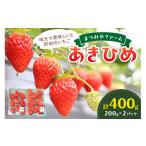 ふるさと納税 いちご 京都府 京丹後市  先行予約／数量限定300 京都・まつみやファームのいちご（あきひめイチゴ）2パック（2026年3月中旬〜発送）　DE00137