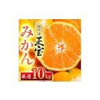 ふるさと納税 果物類 みかん 愛媛県 八幡浜市  愛媛名産 玉宝みかん 雫・・小玉 10kg G64-30 _ みかん ミカン 柑橘 フルーツ くだもの 果物 ふるーつ 青果 果…