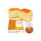ケーキ カステラ チーズケーキ 6回定期便