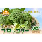 ブロッコリー 花田農園の20個