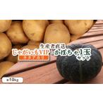 セット 詰合せ 9月~ 予定 生産者直送 じゃがいも