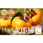 ふるさと納税 果物類 柿 愛知県 豊橋市 先行予約 生産量日本一 豊橋石巻産 次郎柿 ご自宅用 5kg 柿 訳あり 不揃い (15〜25玉) 甘柿 果物 フルーツ 10月 11月 …
