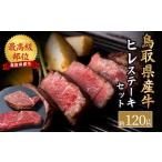 ふるさと納税 牛肉 ヒレ 鳥取県 倉吉市 特別規格品 鳥取県産牛 最高級部位 ヒレ ステーキ セット 約120g 牛肉 ヒレ ヒレ肉 ヒレステーキ 国産牛 ステーキ 肉 …