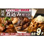 肉 やわらか煮込み3種セット 合計9パック