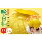 柑橘セット 6品以上