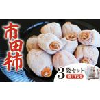 果物類 柿 南信州に伝わる伝統の味 市田柿 170g×3袋セット