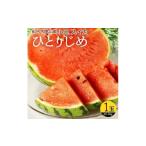 ふるさと納税 果物の詰合せ 和歌山県 美浜町 〈定期便〉 6・8・10・12月 全4回 和歌山産 旬のフルーツ お楽しみ 定期便 魚鶴
