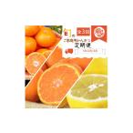 果物の詰合せ 〈定期便〉 1 2 3月 全3回