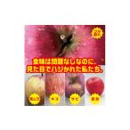 ふるさと納税 りんご 青森県 黒石市 2025年11月上旬〜発送開始 シナノスイート 訳ありりんご 12〜23個入 約5Kg 1506696