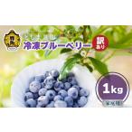 果物類 令和8年産 訳あり 鹿角産 冷凍ブルーベリー 1kg