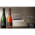 ふるさと納税 ワイン セット 北海道 余市町  平川ワイナリー スパークリングワイン2本セット レザミティエ2020 レザミティエロゼ2019 ワイン 贈り物 ギフト プ…