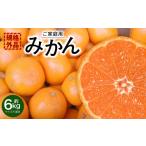 ふるさと納税 果物類 みかん 熊本県 熊本市 規格外品 みかん ご家庭用 約6kg サイズ不選別 蜜柑 ミカン フルーツ 果物 くだもの 柑橘 熊本産 九州産 2025年10…
