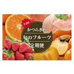 果物類 みかん 定期便4回 フルーツ王国かつらぎ町よりお届け