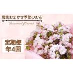 インテリア 季節のお花 定期便 年4回 おまかせ
