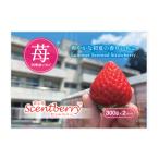 ふるさと納税 いちご 香川県 三木町 新品種 香川県産夏イチゴ 香る苺/Scentberry/セントベリー 約300g×2パック | 希少 苺 夏 新品種 豊かな香り 甘み ジ…