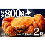 ふるさと納税 カニ 毛ガニ 北海道 浜頓別町 北海道産 毛ガニ 約800g×2尾 セット かに 蟹 毛蟹 冷凍 北海道産 浜頓別町