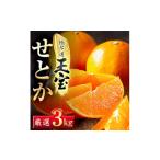 ふるさと納税 みかん・柑橘類 愛媛県 八幡浜市 「玉宝ブランド」 せとか 3kg E64-47 _ みかん せとか 蜜柑 ミカン 愛媛 柑橘 かんきつ 愛媛みかん 果物 くだも…