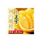 ふるさと納税 みかん�