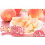 ふるさと納税 もも 山形県 - 山形県産 美晴白桃（硬い桃） 秀品 約2kg（4玉〜9玉入り） 化粧箱 《2026年度8月下旬発送開始》 もも モモ 桃 デザート フルーツ …