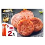 BI066 特大 ソーセージ 2種2本 食べ比べ
