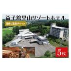 温泉 サウナ スパ利用券 DP006 益子舘里山リゾートホテルで…